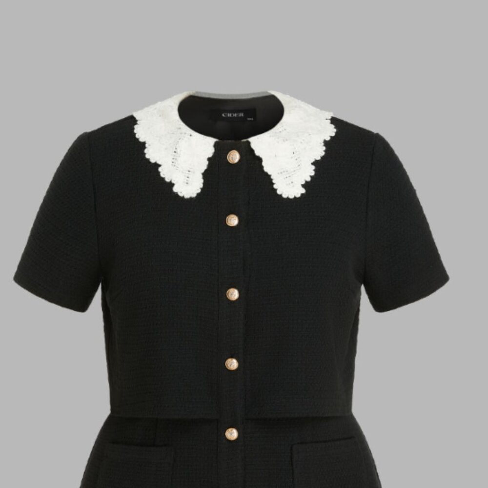 Tweed Collar Button Mini Dress Curve & Plus (Cider brand)